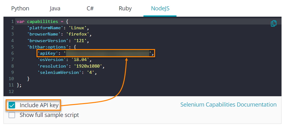 code-snippet-include-api-key.png
