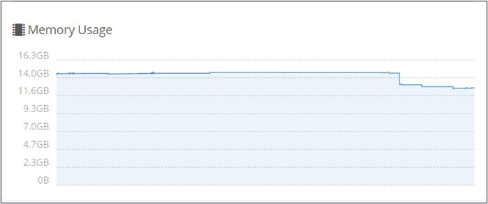 Memory Usage